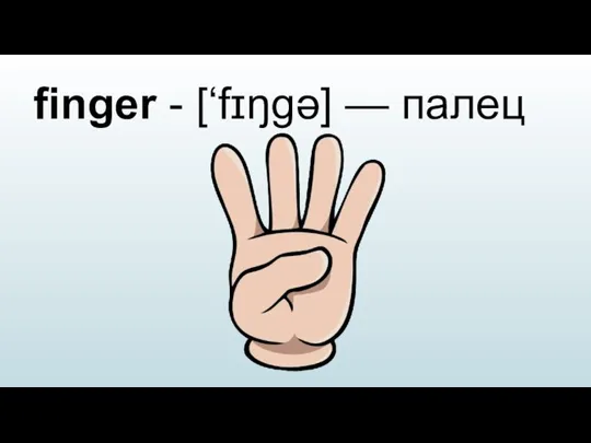 finger - [‘fɪŋgə] — палец