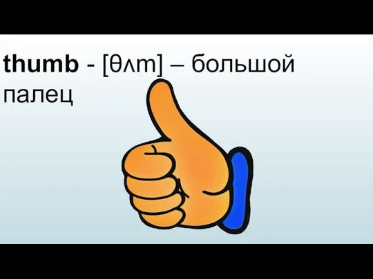 thumb - [θʌm] – большой палец