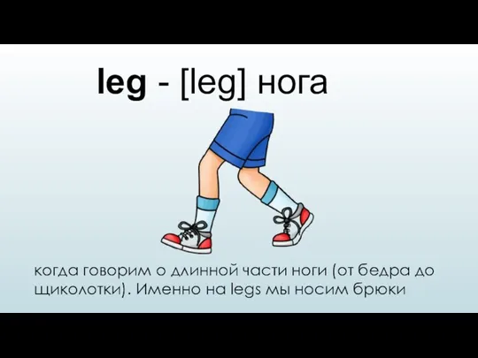leg - [leg] нога когда говорим о длинной части ноги (от бедра