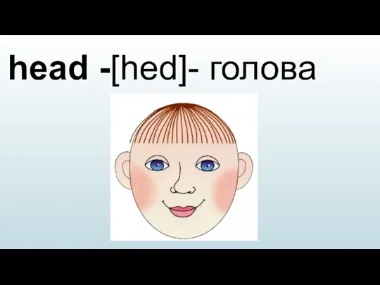 head -[hed]- голова