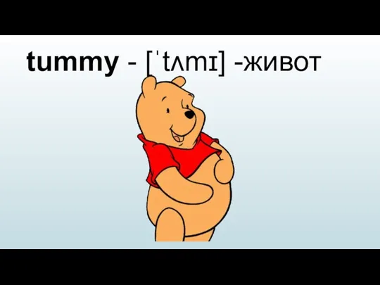 tummy - [ˈtʌmɪ] -живот