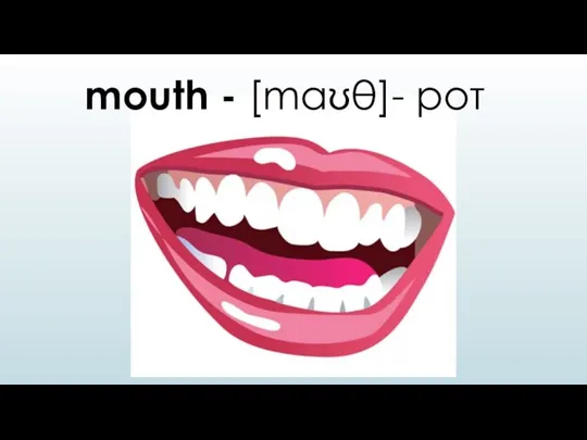 mouth - [maʊθ]- рот