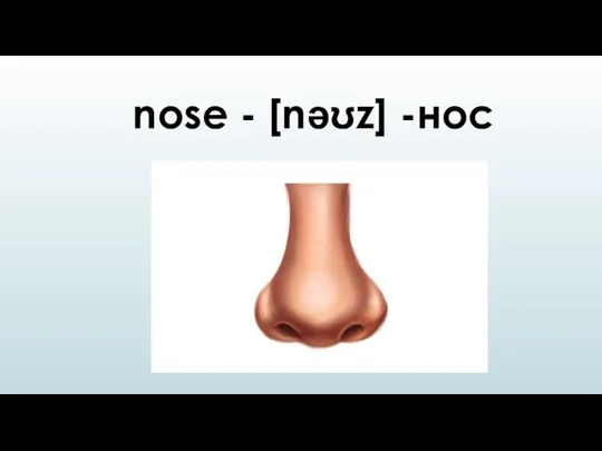nose - [nəʊz] -нос