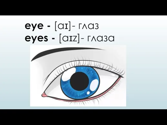 eye - [aɪ]- глаз eyes - [aɪz]- глаза