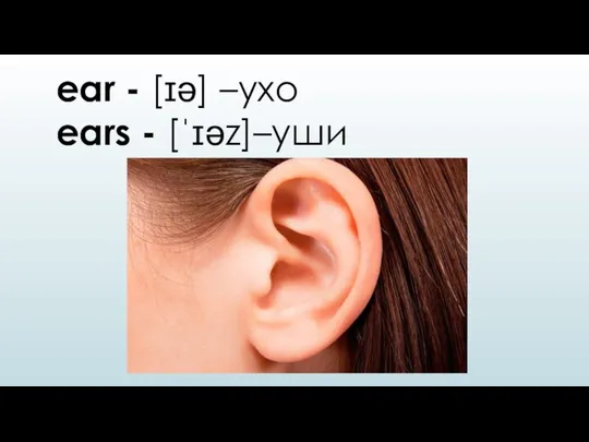 ear - [ɪə] –ухо ears - [ˈɪəz]–уши