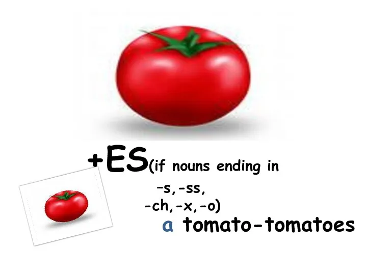 +ES(if nouns ending in –s,-ss, -ch,-x,-o) a tomato-tomatoes
