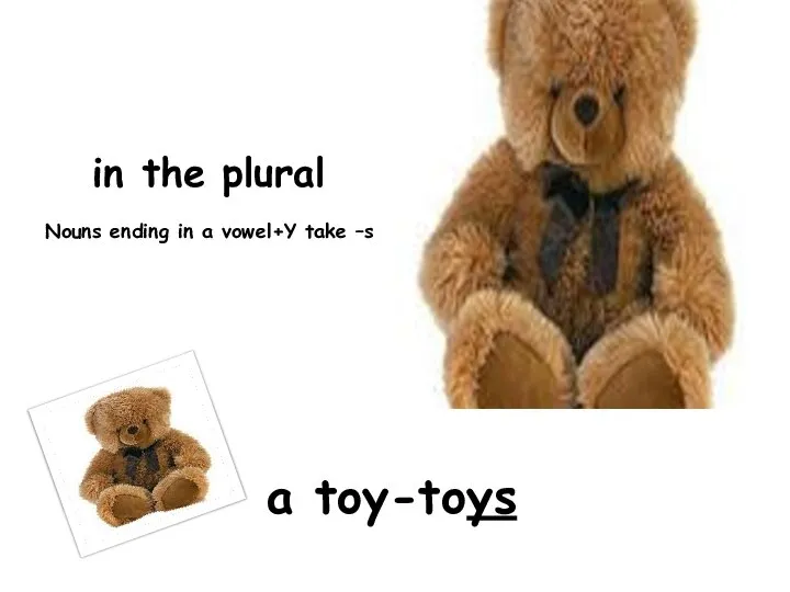 in the plural Nouns ending in a vowel+Y take –s a toy-toys