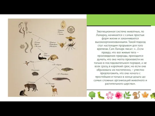Эволюционная система животных, по Ламарку, начинается с самых простых форм жизни и