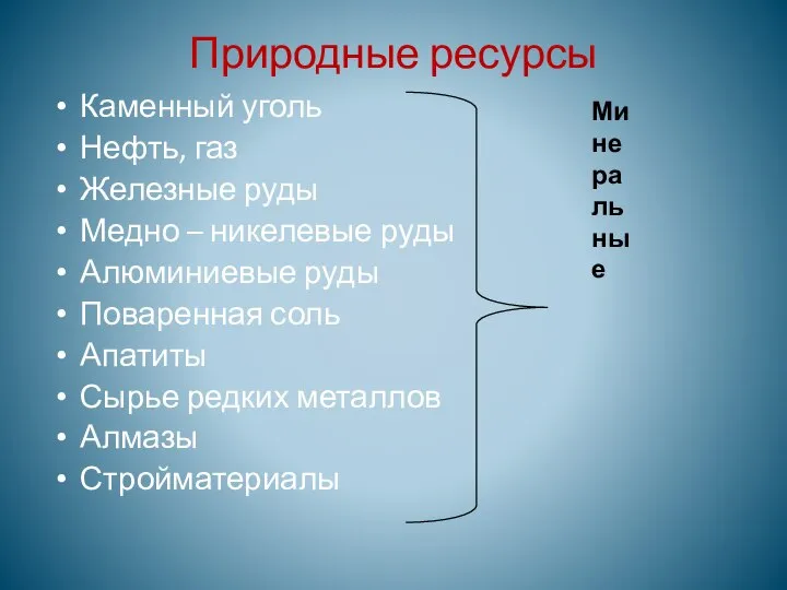 Природные ресурсы Каменный уголь Нефть, газ Железные руды Медно – никелевые руды