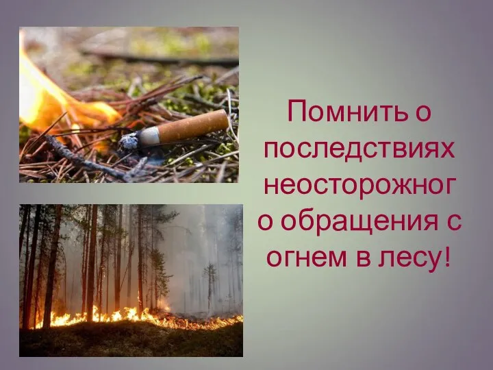 Помнить о последствиях неосторожного обращения с огнем в лесу!