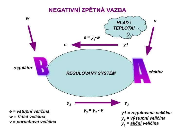 NEGATIVNÍ ZPĚTNÁ VAZBA REGULOVANÝ SYSTÉM A B e = y1-w y1 w