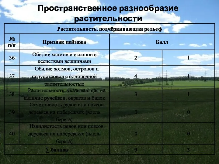 Пространственное разнообразие растительности