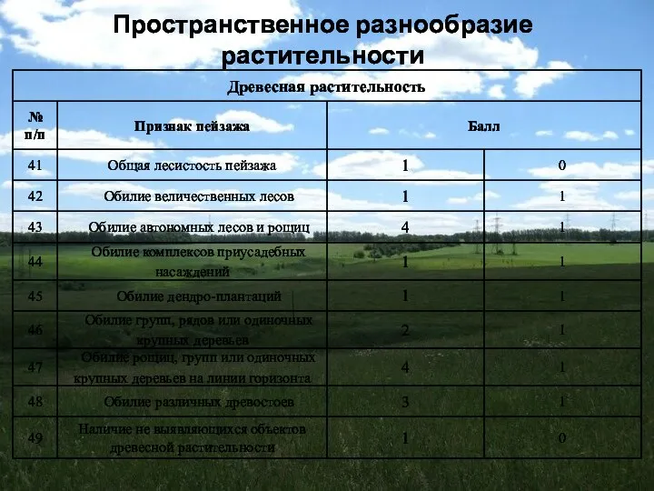 Пространственное разнообразие растительности