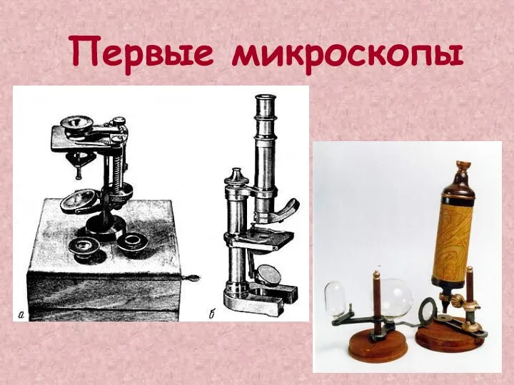 Первые микроскопы