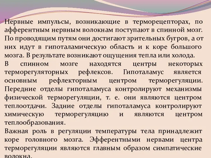 Нервные импульсы, возникающие в терморецепторах, по афферентным нервным волокнам поступают в спинной