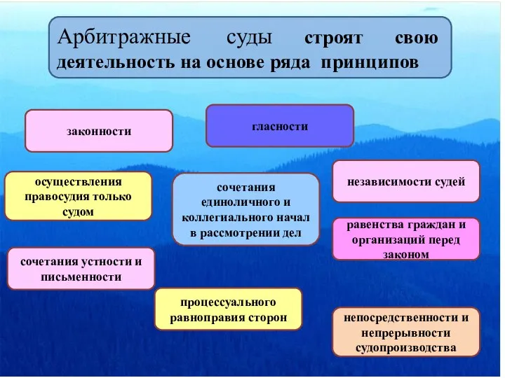 Арбитражные суды строят свою деятельность на основе ряда принципов законности осуществления правосудия