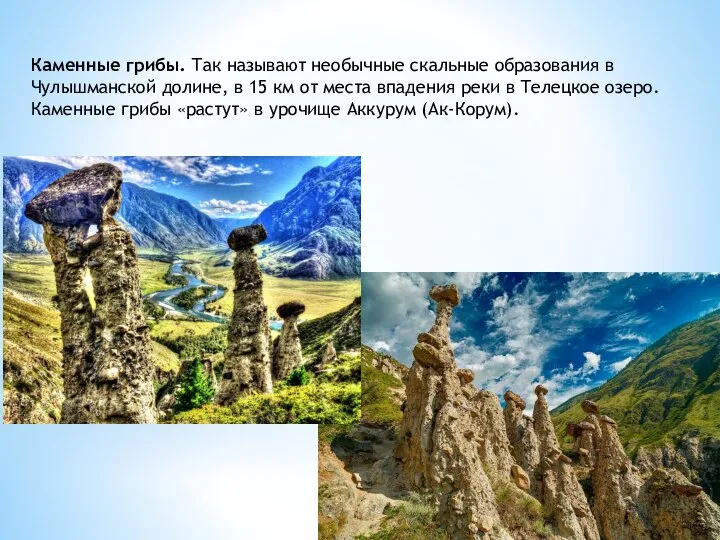 Каменные грибы. Так называют необычные скальные образования в Чулышманской долине, в 15
