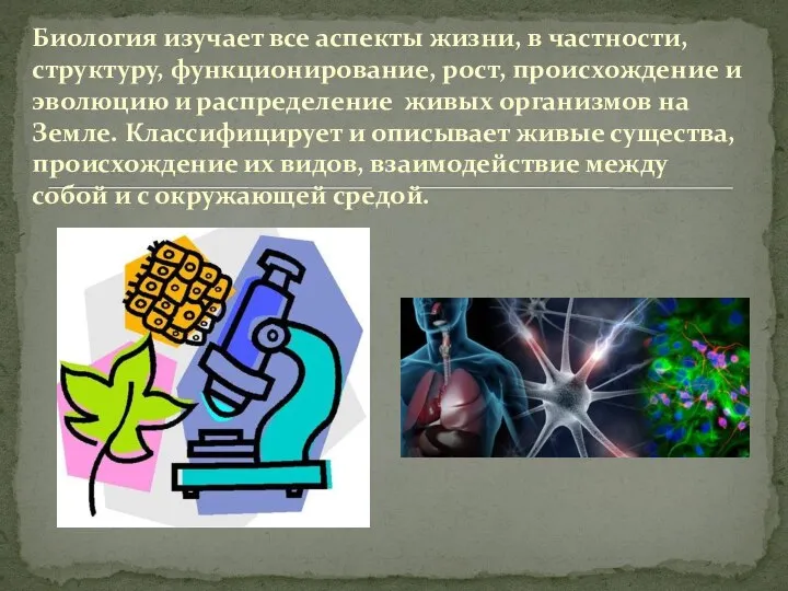 Биология изучает все аспекты жизни, в частности, структуру, функционирование, рост, происхождение и