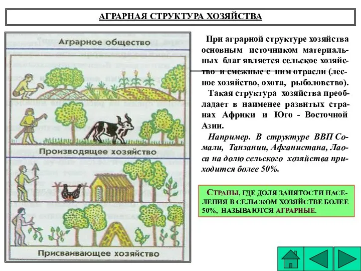 АГРАРНАЯ СТРУКТУРА ХОЗЯЙСТВА При аграрной структуре хозяйства основным источником материаль- ных благ