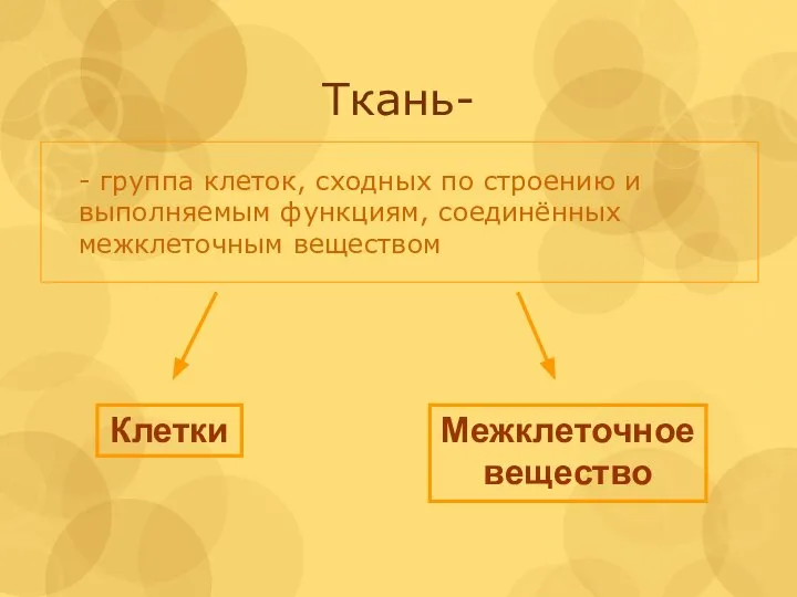 Ткань- - группа клеток, сходных по строению и выполняемым функциям, соединённых межклеточным веществом Клетки Межклеточное вещество