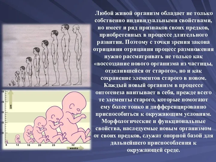 Любой живой организм обладает не только собственно индивидуальными свойствами, но имеет и