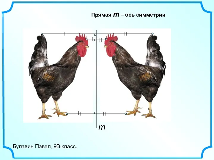 Булавин Павел, 9В класс. Прямая m – ось симметрии m