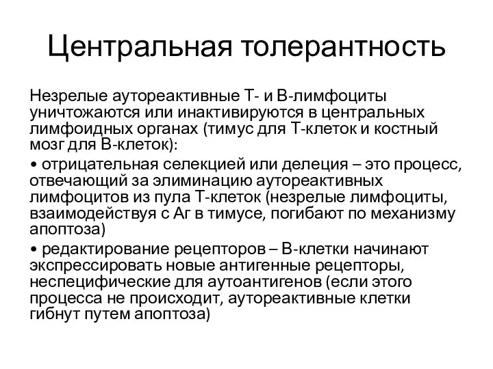 Центральная толерантность Незрелые аутореактивные Т- и В-лимфоциты уничтожаются или инактивируются в центральных