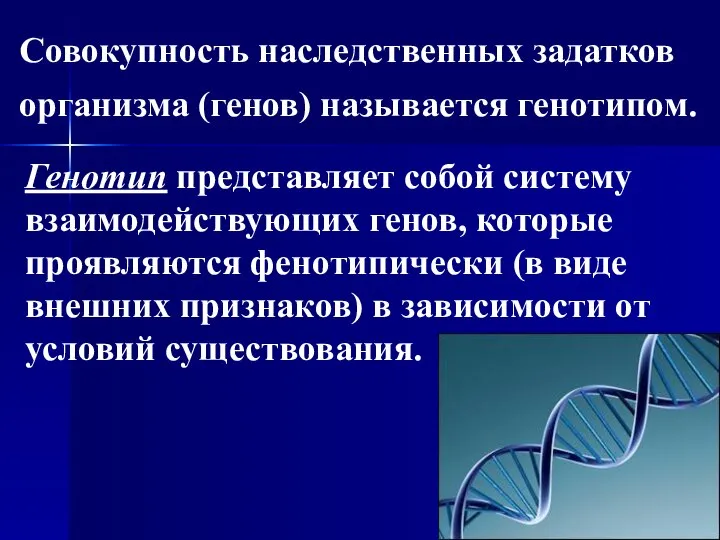 Совокупность наследственных задатков организма (генов) называется генотипом. Генотип представляет собой систему взаимодействующих