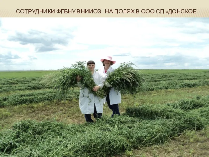 СОТРУДНИКИ ФГБНУ ВНИИОЗ НА ПОЛЯХ В ООО СП «ДОНСКОЕ