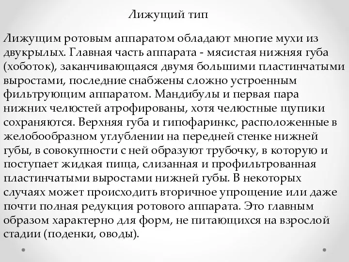 Лижущим ротовым аппаратом обладают многие мухи из двукрылых. Главная часть аппарата -