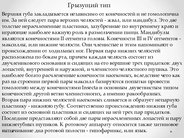 Верхняя губа закладывается независимо от конечностей и не гомологична им. За ней