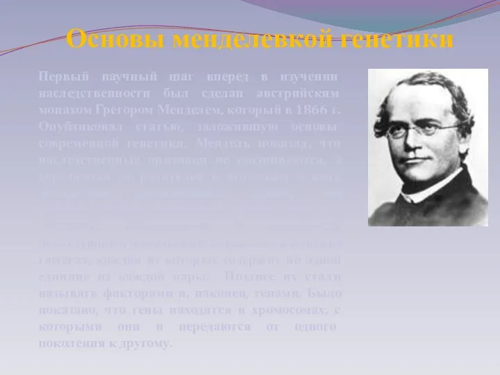 Основы менделевкой генетики Первый научный шаг вперед в изучении наследственности был сделан