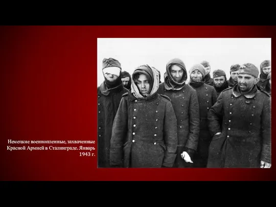 Немецкие военнопленные, захваченные Красной Армией в Сталинграде. Январь 1943 г.