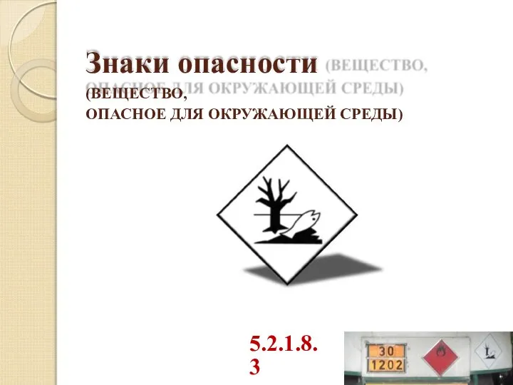 Знаки опасности (ВЕЩЕСТВО, ОПАСНОЕ ДЛЯ ОКРУЖАЮЩЕЙ СРЕДЫ) 5.2.1.8.3