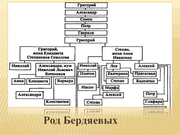 Род Бердяевых