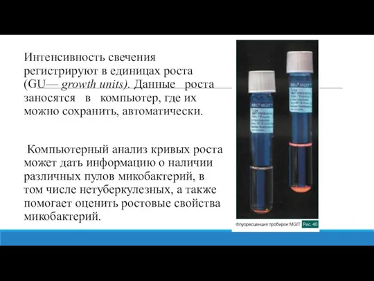 Интенсивность свечения регистрируют в единицах роста (GU— growth units). Данные роста заносятся