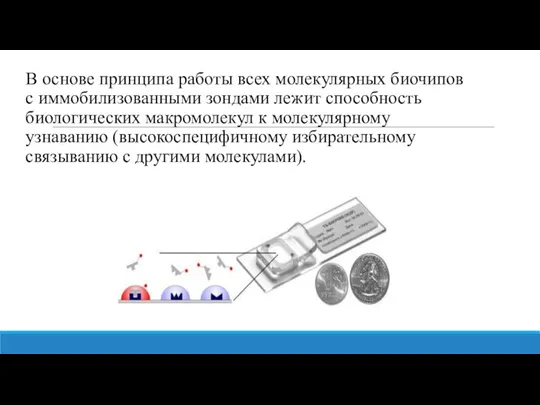 В основе принципа работы всех молекулярных биочипов с иммобилизованными зондами лежит способность