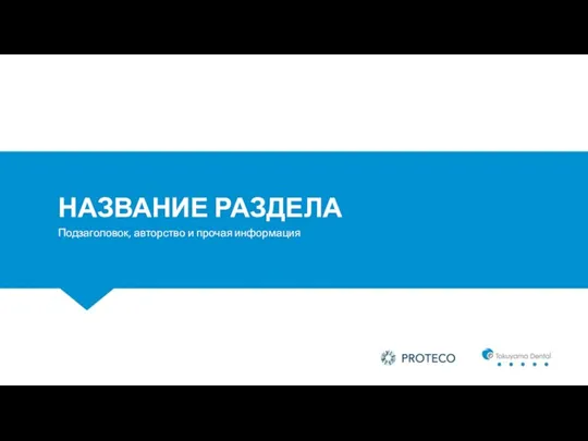 НАЗВАНИЕ РАЗДЕЛА Подзаголовок, авторство и прочая информация