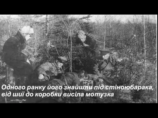 Одного ранку його знайшли під стіноюбарака,від шиї до коробки висіла мотузка