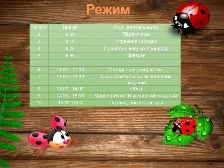 Режим дня