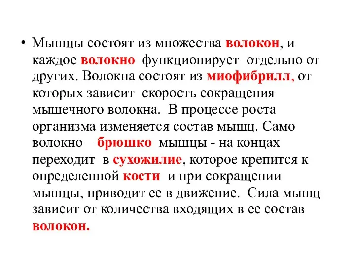 Мышцы состоят из множества волокон, и каждое волокно функционирует отдельно от других.