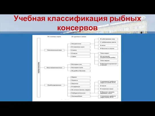 Учебная классификация рыбных консервов