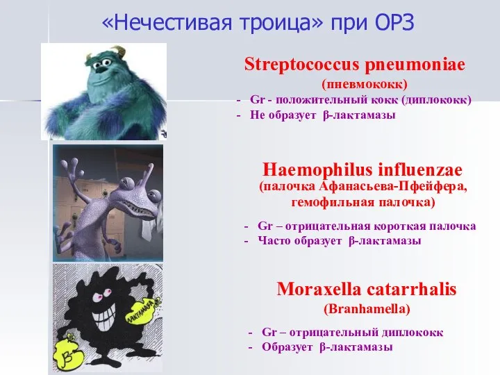 Streptococcus pneumoniae (пневмококк) - Gr - положительный кокк (диплококк) - Не образует