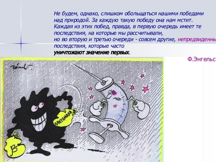 Не будем, однако, слишком обольщаться нашими победами над природой. За каждую такую