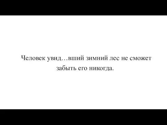 Человек увид…вший зимний лес не сможет забыть его никогда.