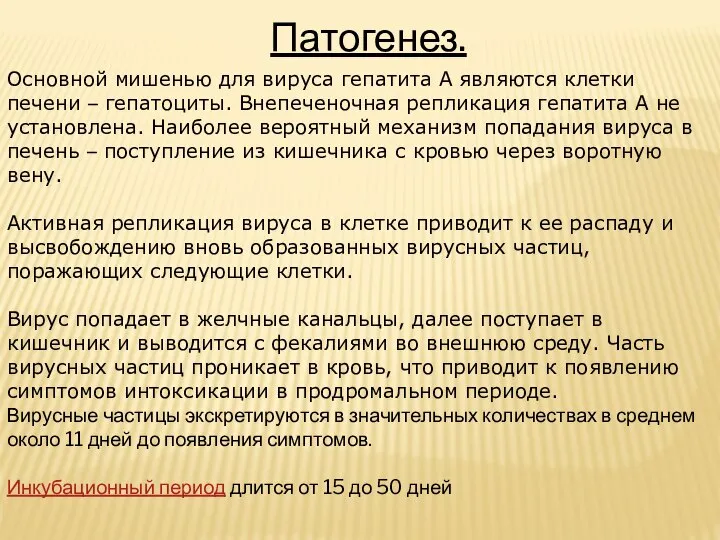 Патогенез. Основной мишенью для вируса гепатита А являются клетки печени – гепатоциты.