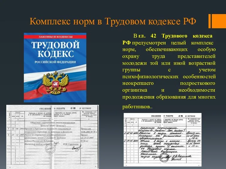 Комплекс норм в Трудовом кодексе РФ В гл. 42 Трудового кодекса РФ