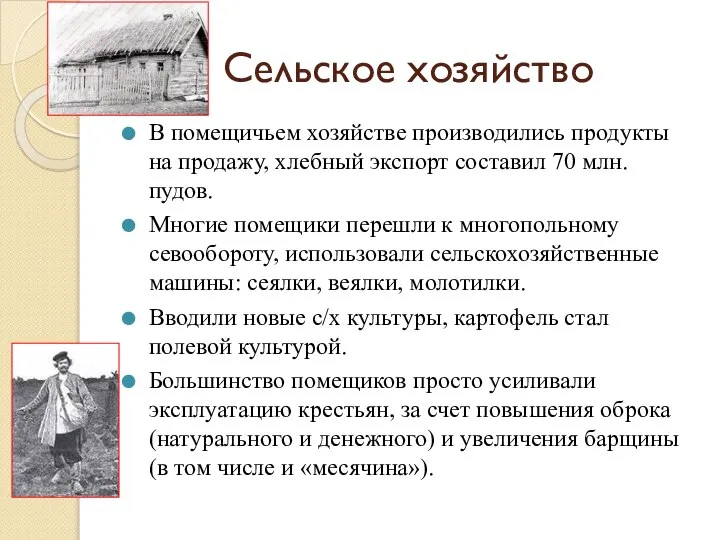 Сельское хозяйство В помещичьем хозяйстве производились продукты на продажу, хлебный экспорт составил