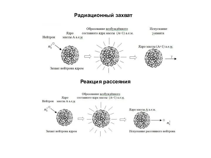 Радиационный захват Реакция рассеяния