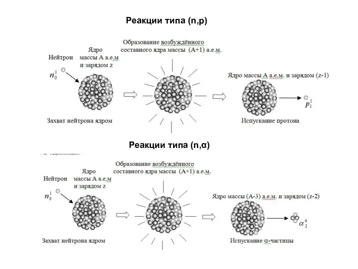 Реакции типа (n,p) Реакции типа (n,α)